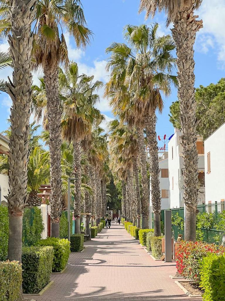 Mediterranea Loft New La Pineda Dış mekan fotoğraf